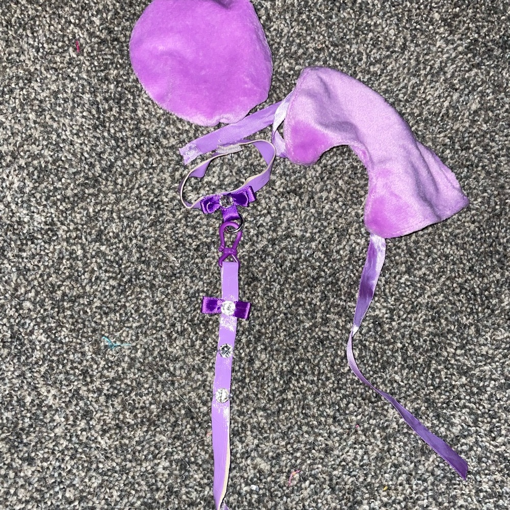 doll dog accessories